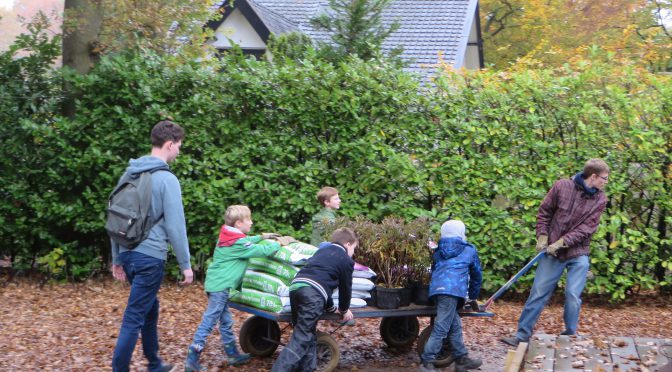 Welpen verdienen natuurinsigne!